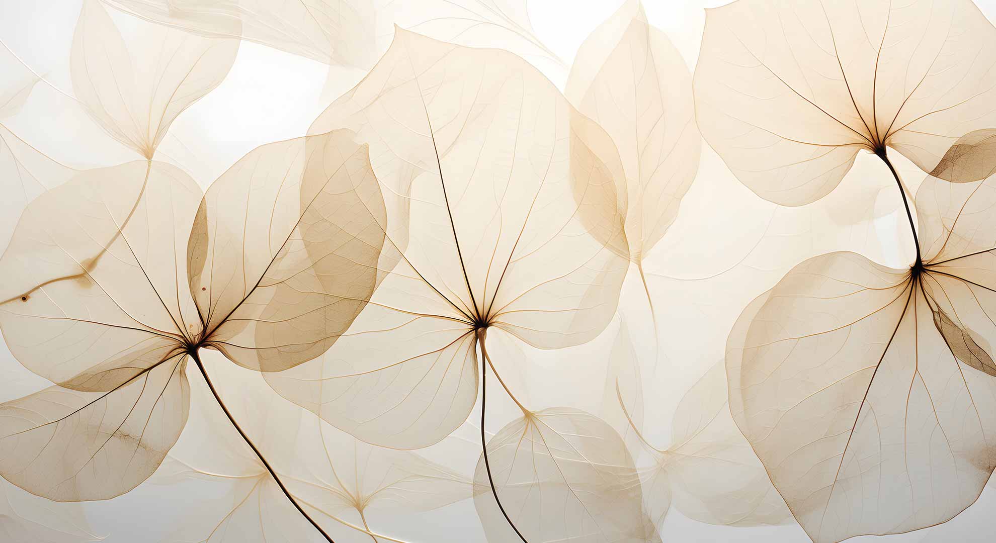 01_blumen